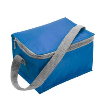 foldable cooler bag